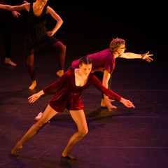 d7k_0409_carrysize_cr_31308369858_o.jpg